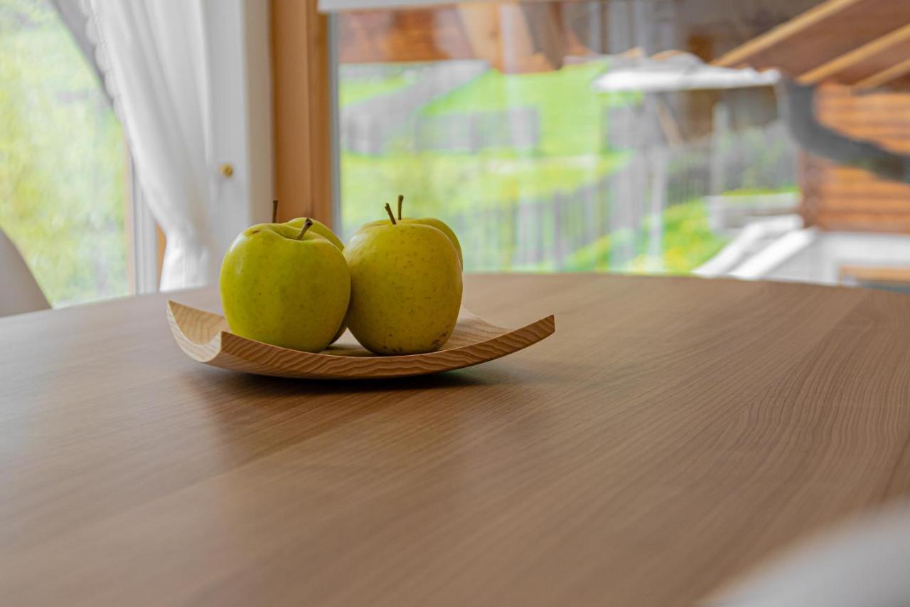 Apartment Dolomites Nest San Martino in Badia Εξωτερικό φωτογραφία
