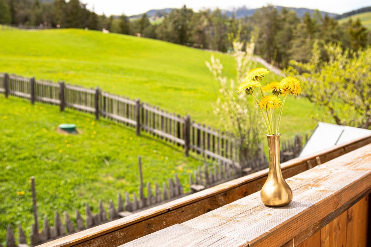 Apartment Dolomites Nest San Martino in Badia Εξωτερικό φωτογραφία