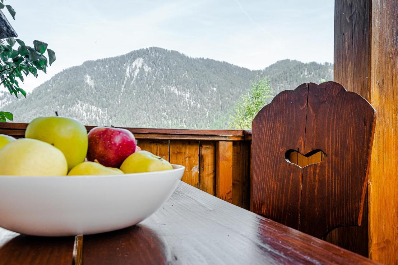 Apartment Dolomites Nest San Martino in Badia Εξωτερικό φωτογραφία